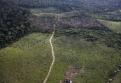 Một cánh rừng gần Vườn quốc gia Amazonia, Brazil trơ trọi vì bị chặt phá bừa bãi
