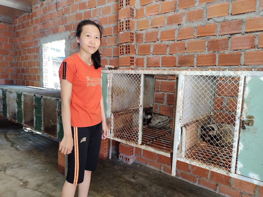 Kỹ thuật nuôi chồn hương