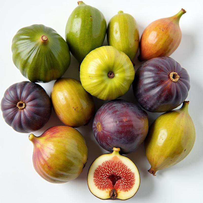 Tổng hợp các loại quả vả phổ biến, đa dạng về hình dáng và màu sắc