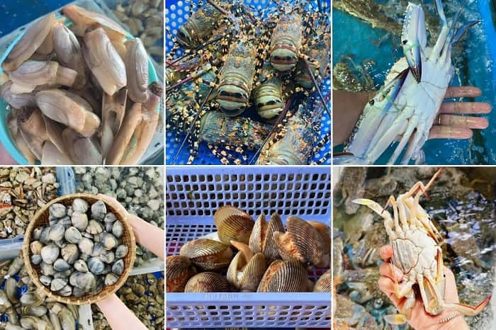 Mua sắm tại vựa hải sản uy tín sẽ được đảm bảo về chất lượng, giá cả