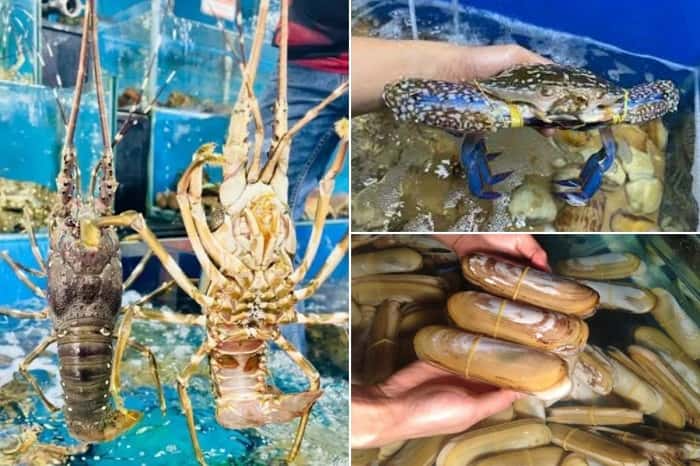 Cửa hàng Hải sản Câu là điểm đến mua sắm quen thuộc của nhiều khách hàng
