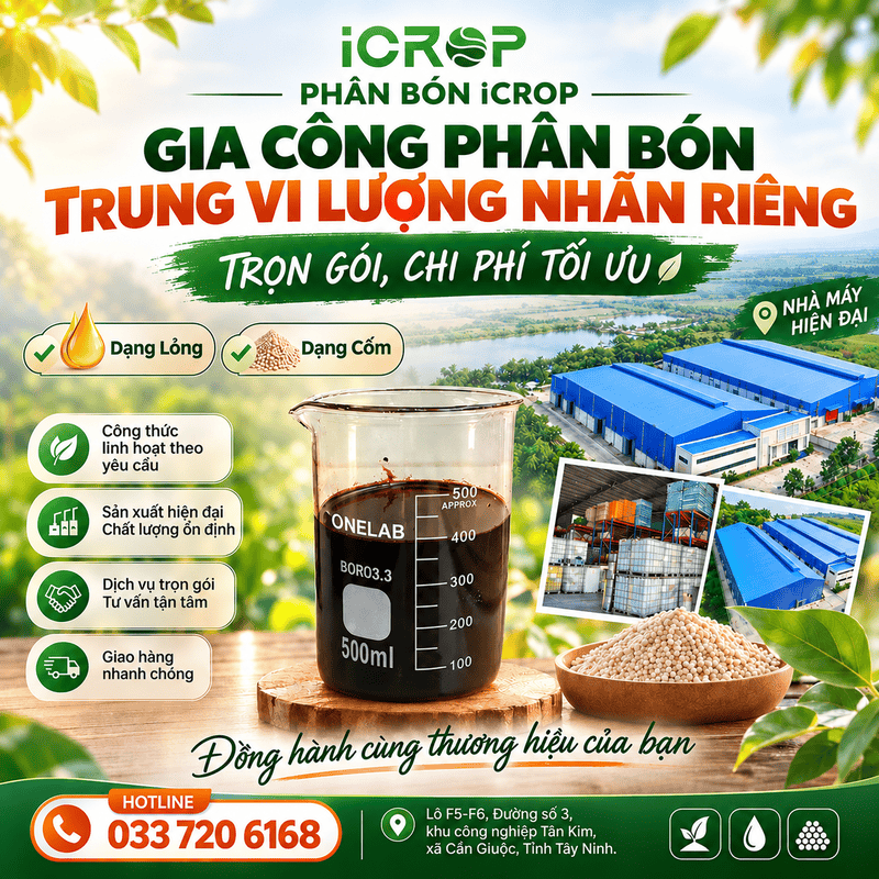 Phân Bón Nhập Khẩu Châu Âu Và Xu Hướng Gia Công Theo Yêu Cầu